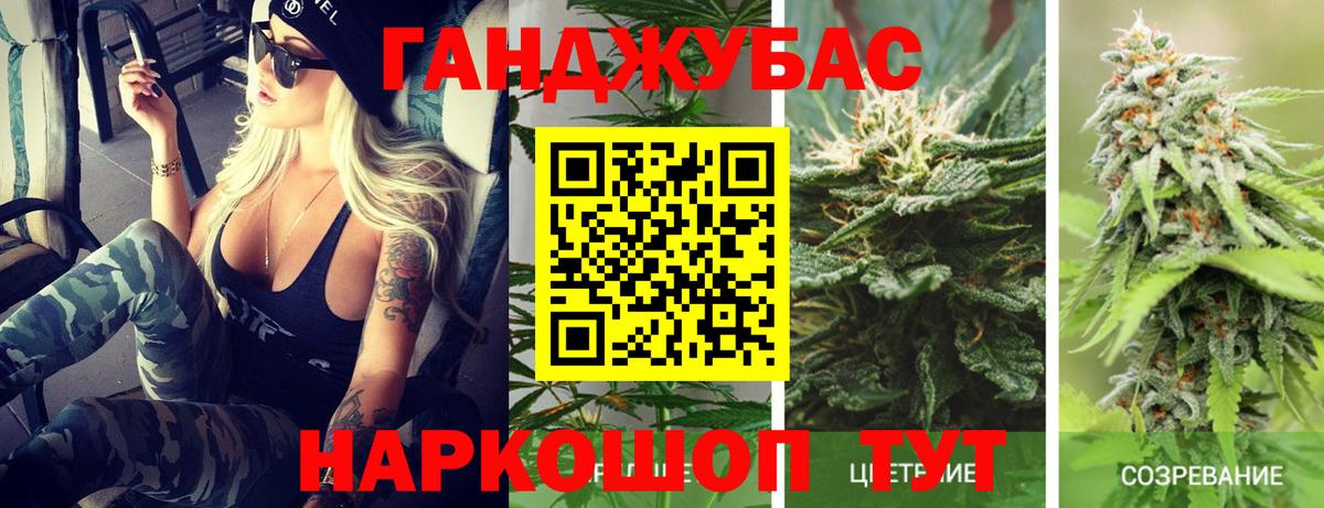 Дербент  МАРИХУАНА ГИДРОПОН  Конопля Amnesia  Вход с VPN 